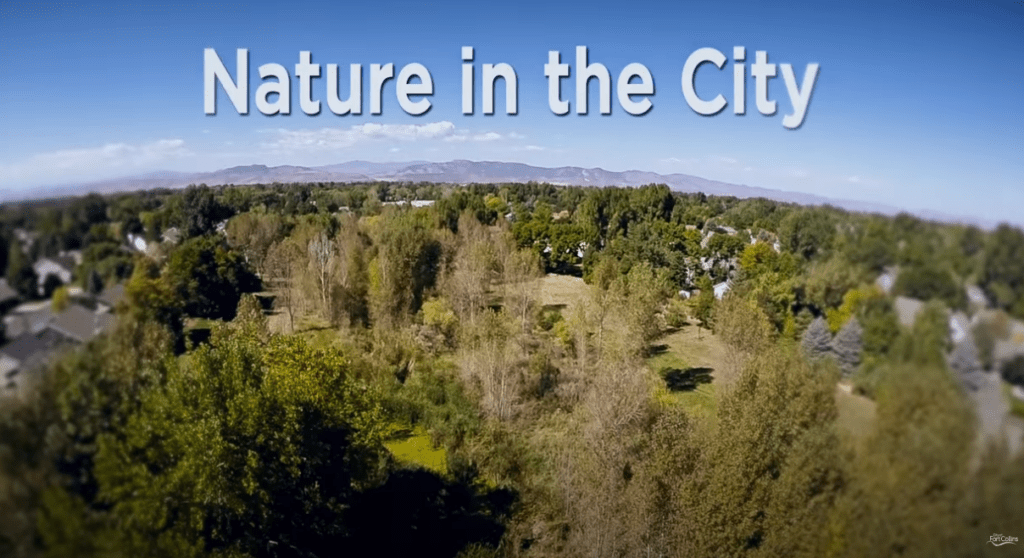 Nature in the City