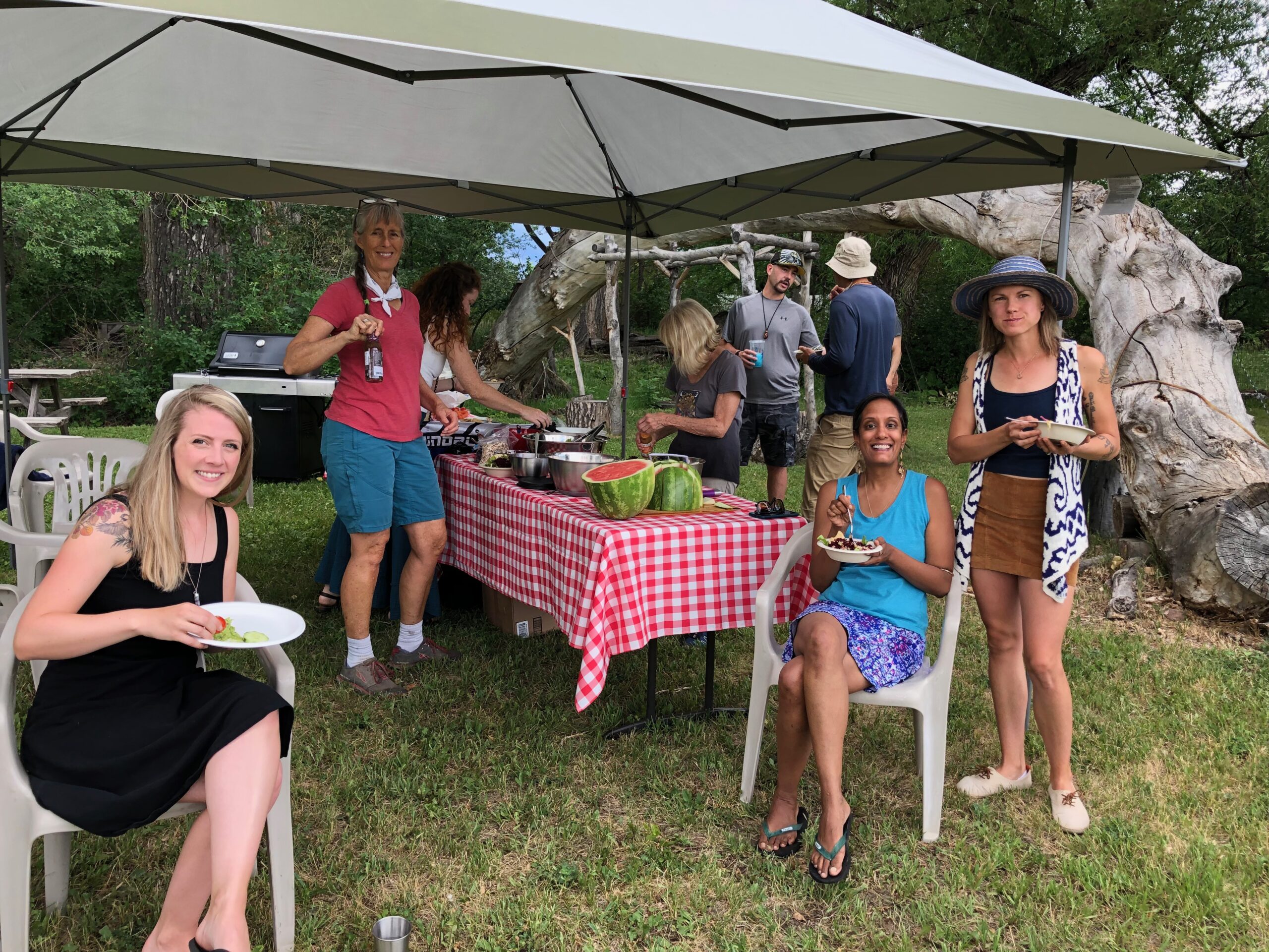 people at a picnic