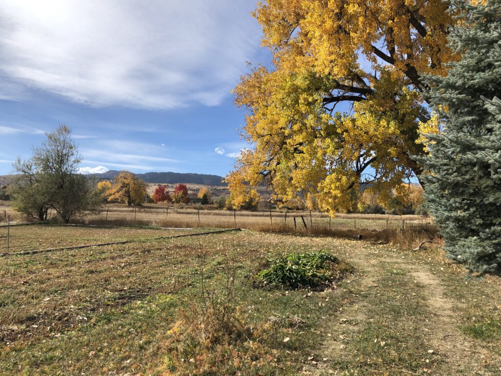 fall colors on the land