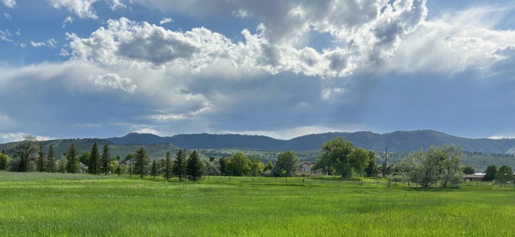 Natural buffer area