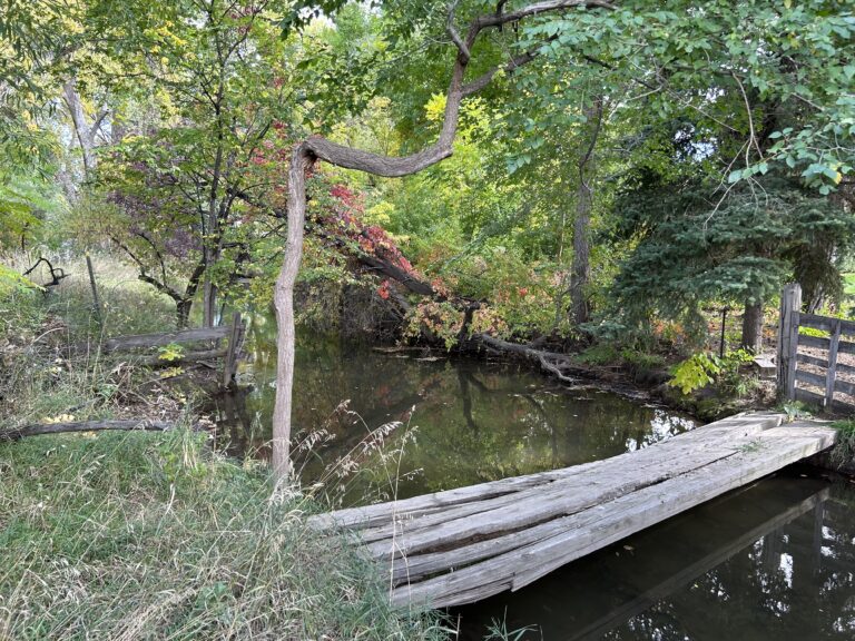 Image of water canal